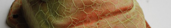 Reptile Skin